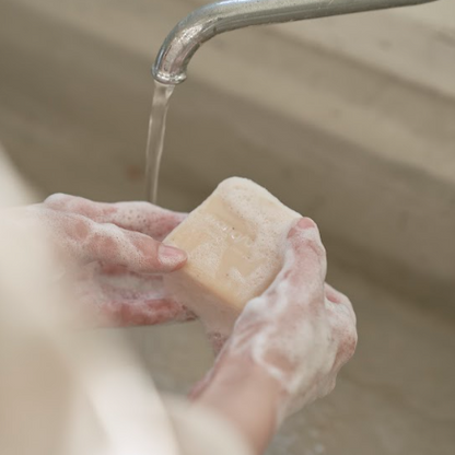 Dish Soap Bars